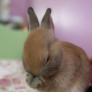 Meet your Posher, Carlee